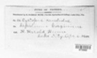 Image Associated With the Occurence